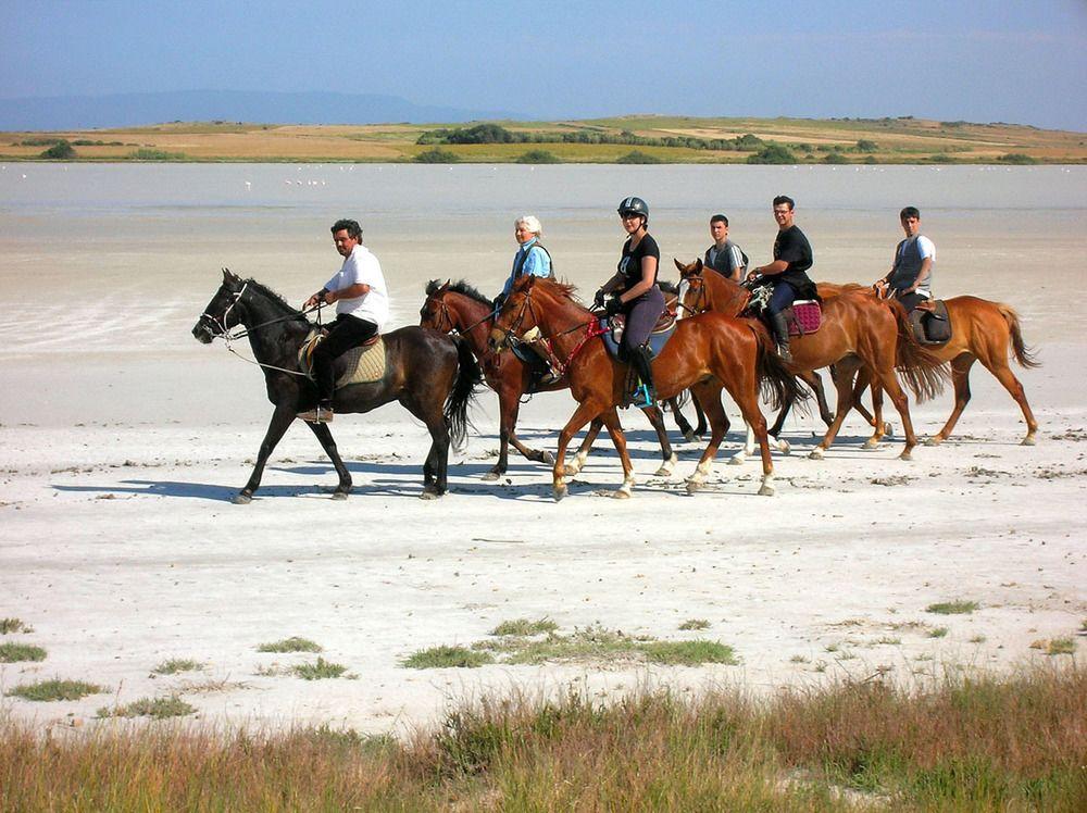 Horse Country Resort Congress & Spa - Hotel Ribot Arborea Esterno foto
