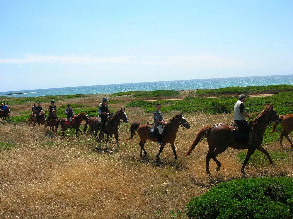 Horse Country Resort Congress & Spa - Hotel Ribot Arborea Esterno foto