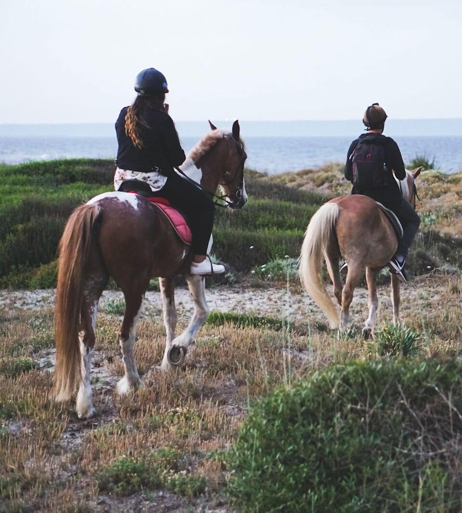Horse Country Resort Congress & Spa - Hotel Ribot Arborea Esterno foto