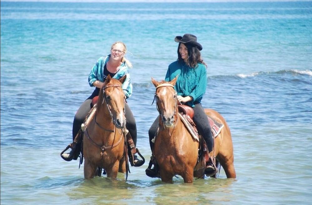 Horse Country Resort Congress & Spa - Hotel Ribot Arborea Esterno foto