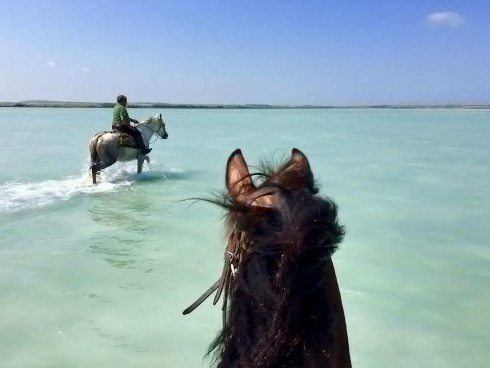 Horse Country Resort Congress & Spa - Hotel Ribot Arborea Esterno foto