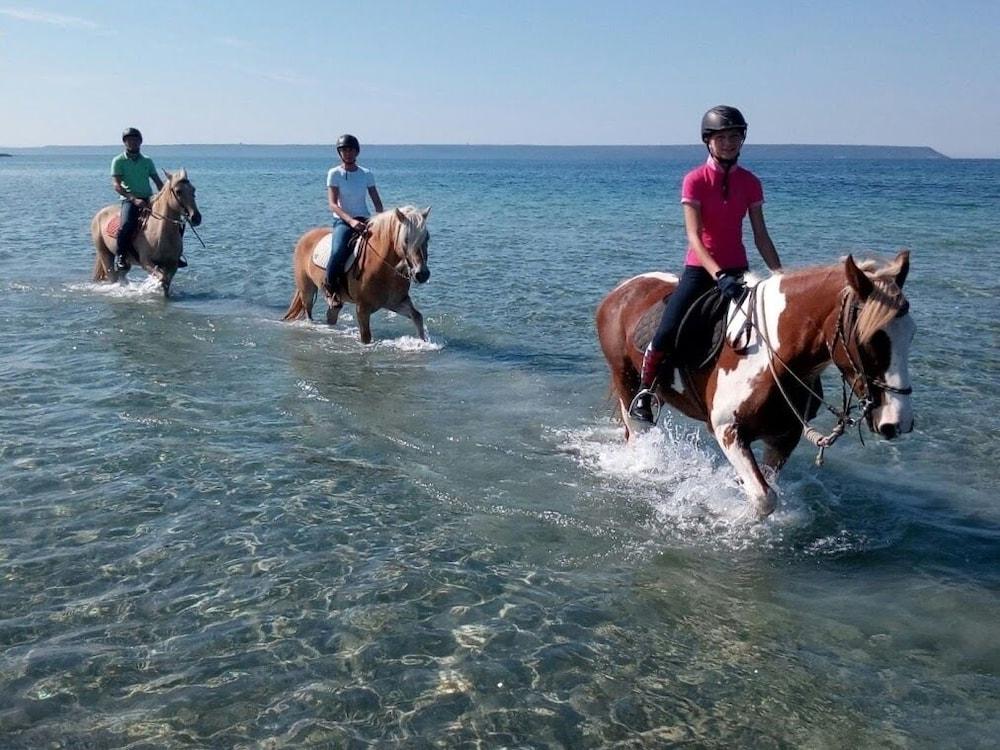 Horse Country Resort Congress & Spa - Hotel Ribot Arborea Esterno foto