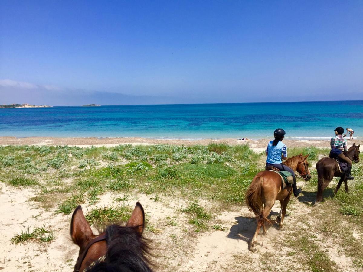Horse Country Resort Congress & Spa - Hotel Ribot Arborea Esterno foto