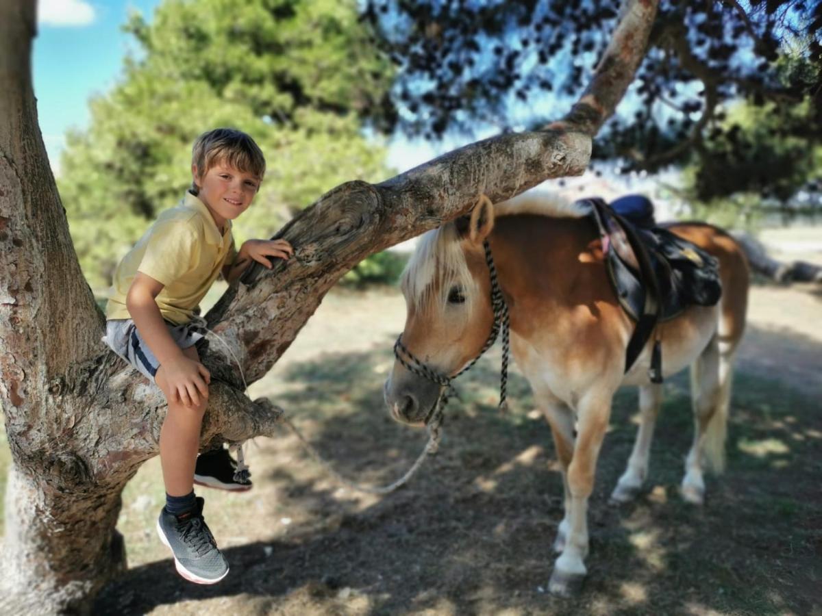 Horse Country Resort Congress & Spa - Hotel Ribot Arborea Esterno foto