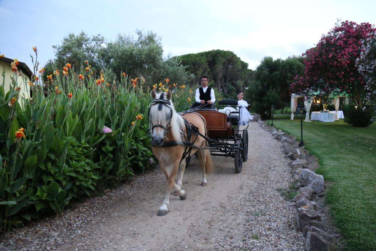 Horse Country Resort Congress & Spa - Hotel Ribot Arborea Esterno foto